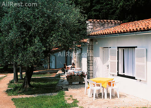 Moj Mir & Bungalows 4